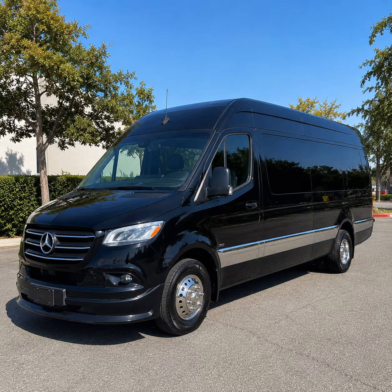 denton sprinter limousine